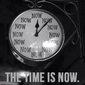 Meet your Posher, Primrose